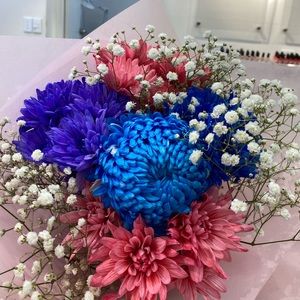 Meet your Posher, Jane